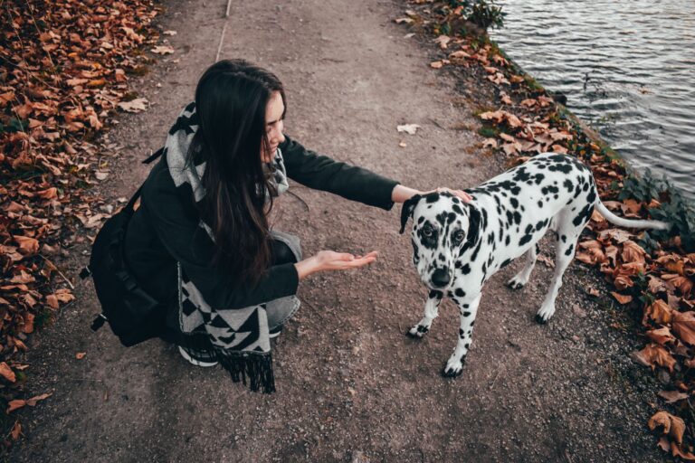 Comment entretenir une relation complice avec son animal de compagnie ?