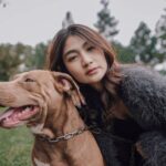 Comment assurer une socialisation harmonieuse de son animal de compagnie ?