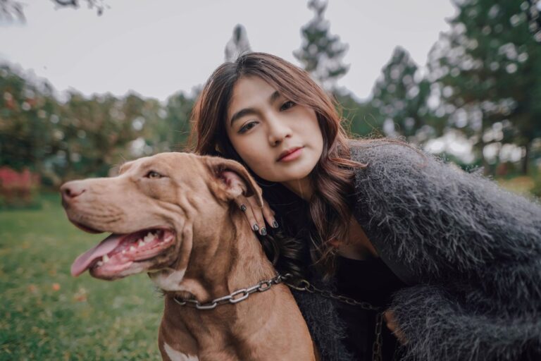 Comment assurer une socialisation harmonieuse de son animal de compagnie ?