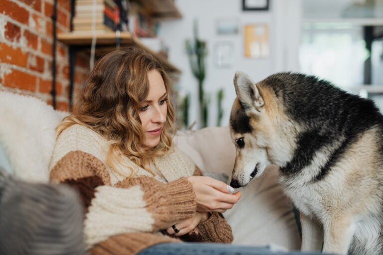 Comment rendre les loisirs avec son animal plus plaisants ?