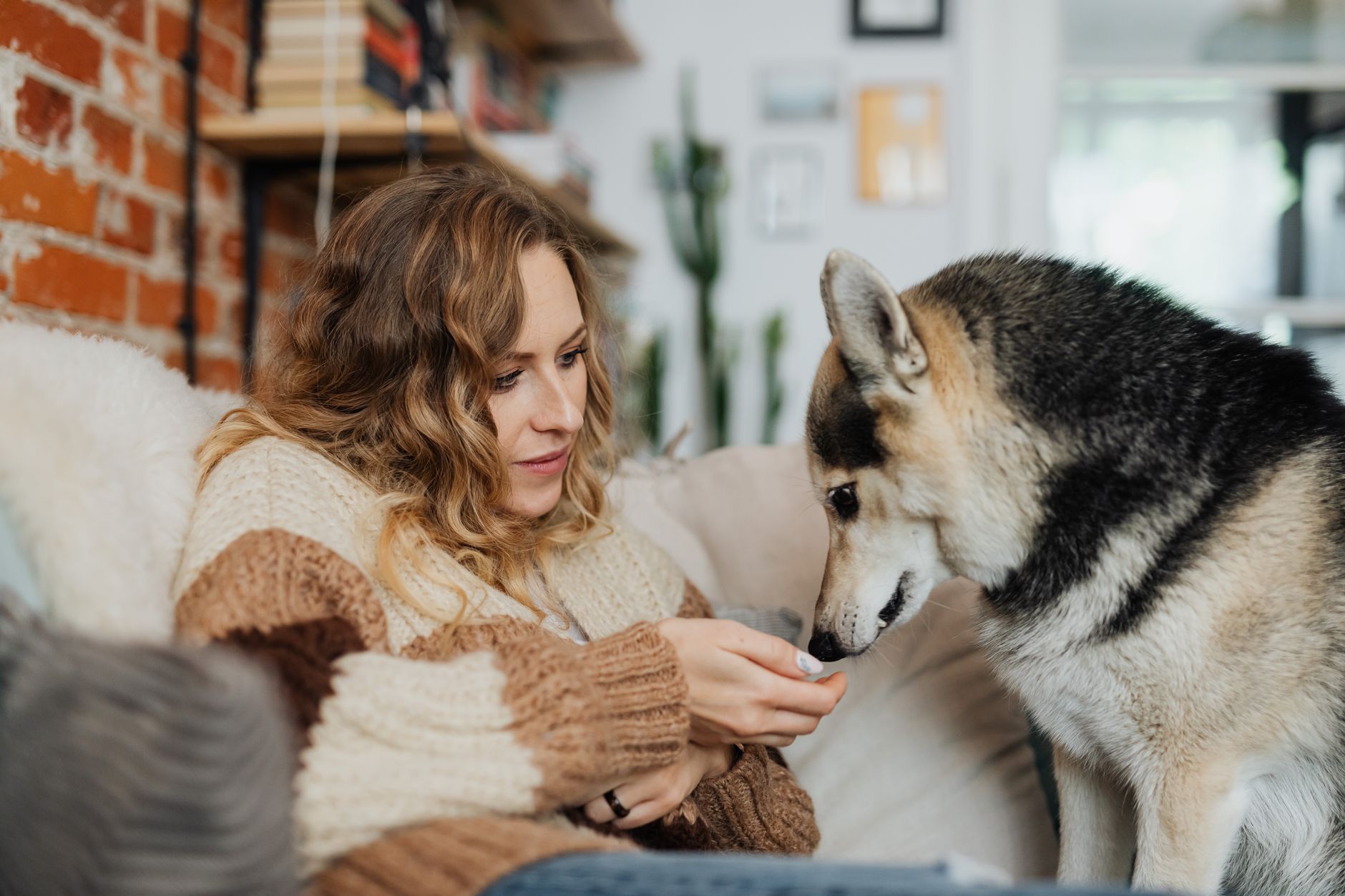 Comment rendre les loisirs avec son animal plus plaisants ?