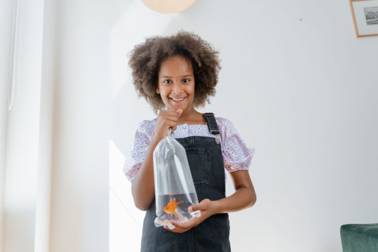 Pourquoi adopter un ami à nageoires ?
