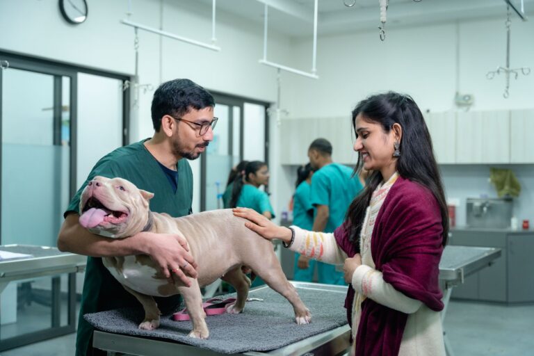 Comment garantir la sécurité de son animal de compagnie ?