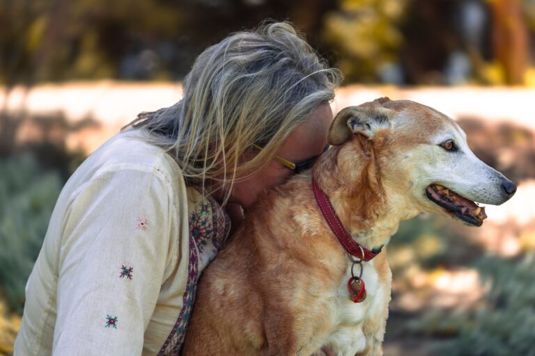 Comment assurer une socialisation paisible de son animal ?