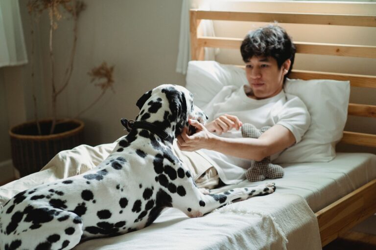 Comment profiter de moments de détente avec son animal de compagnie?
